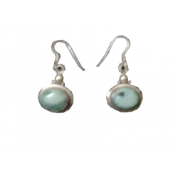 Earring0028-Nice Earring made with Beautiful Turquoise Stone and Silver